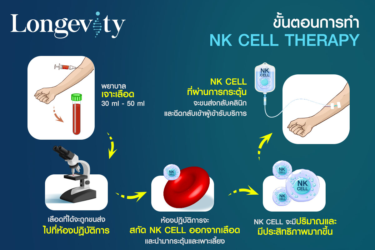 ขั้นตอนการทำ NK Cell Therapy